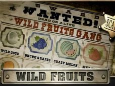 Wild Fruits